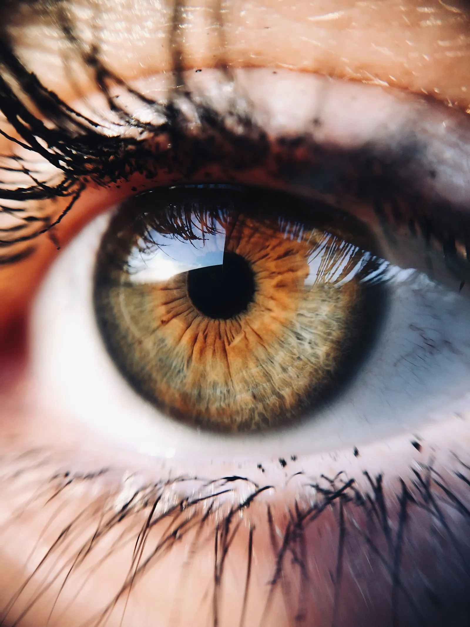Close up of a human eye